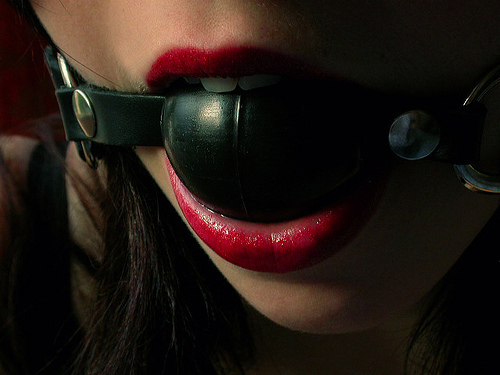 haltdeinefresse's profile picture. lustiger Trash und geile Babes!