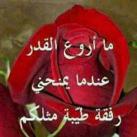 sacr alboadey (@b076c2c9fa0b499) 's Twitter Profile