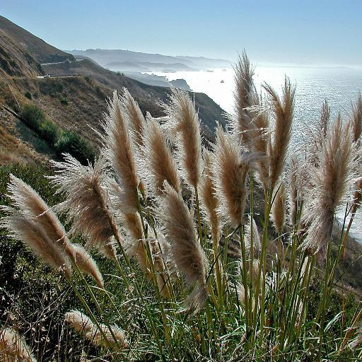 paygyno17's profile picture. 