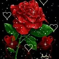 شاعرالخيال (@mahmoud_alkanzy) Twitter profile photo