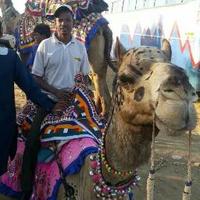 Tendai Mugabe (@tendaimugabe5) 's Twitter Profile