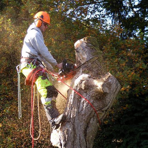 Arboricultural expertise, with all aspects of tree work undertaken including pruning, reductions and removal! For both Commercial, and private customers