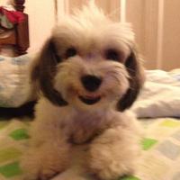 Que miras? (@clickeador) 's Twitter Profile