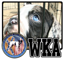 Breeder and Keeper of Alapaha Blue-Blood Bulldogs, administrator at http://t.co/R5M9GrUZWk and http://t.co/bvAWMLlJY0