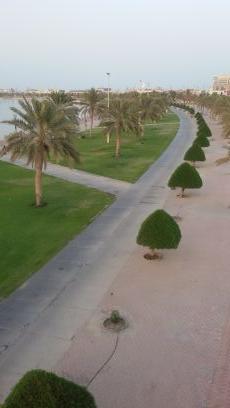 OmerShareef597's profile picture. 