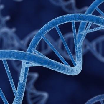 joaquinkam's profile picture. Biotech ,Startups , M&A..
$AUPH $QURE   $JAZZ  $TGTX  $TSLA

Opinion only do your own research