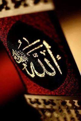 AyeshaN47192416's profile picture. once upon a time there was  humanity.....want that time back !!!!!!!!