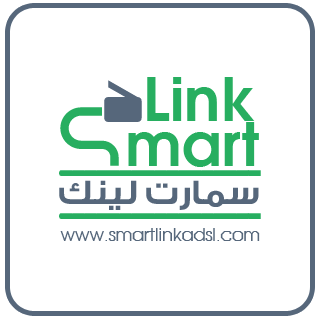 Internet service provider , Hosting , design , programming , technical support , and all the web services