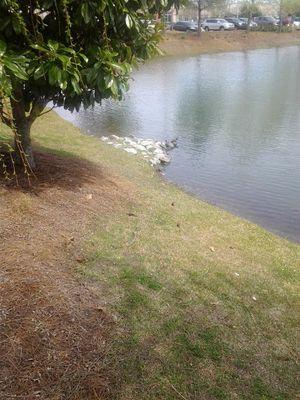 Sevensignz82's profile picture. 