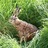 Joanashworth's profile image