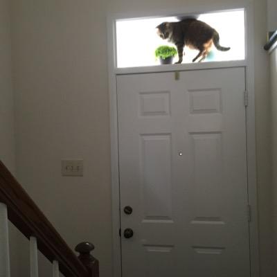 heididece's profile picture. 