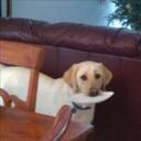 brittany early - @brittanyearly - Twitter