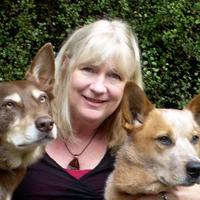 Meredith Costain (@meredithcostain) 's Twitter Profile