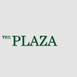 THE PLAZA is a half-hour sitcom about a group of hilarious but hard-working regular folks just trying to make ends meet.