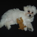 Henri00 (@henri00) Twitter profile photo