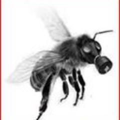 SOSusaNOW's profile picture. 