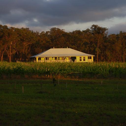 Growing grapes, kids and old, wining and dining on the Granite Belt