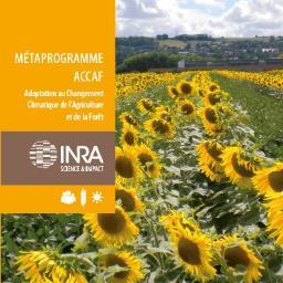 Compte officiel du métaprogramme #Adaptation au #ChangementClimatique de l'#Agriculture et de la #Forêt de l'#Inra