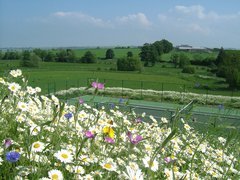 Plum Braes Barn self catering holiday cottages in the Scottish Borders, in a quiet corner with panoramic views over beautiful Borders countryside