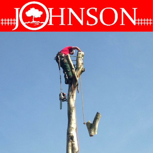 Tree surgeons: Dismantling, pruning, dead wood removal, hedge maintenance, site surveys, felling, conifer specialists & more #TreeCare 01530 242478.