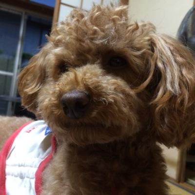 森 裕美子 Yumiko9938 Twitter