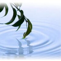 DrKaren8 (@loveyourspine) Twitter profile photo
