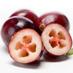 Discover Cranberries (@discovercran) Twitter profile photo Discover Cranberries (@discovercran) Twitter profile photo