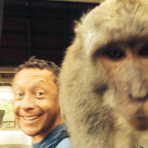 TomTelford's profile picture. 