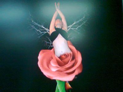 OrtizPaula16's profile picture. l