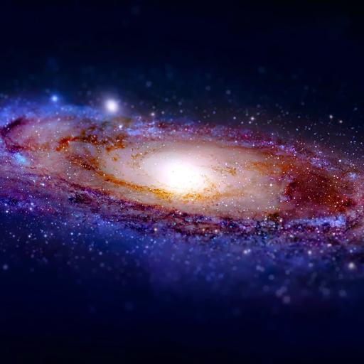 pquinn14's profile picture. 