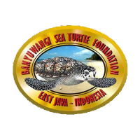 Banyuwangi SeaTurtle (@bstf_org) 's Twitter Profile