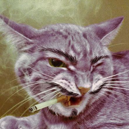 dukespookies's profile picture. 