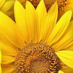 RedefiningGod's profile picture. Autotweets new articles from http://t.co/cWR27NJQB6.  Not currently affiliated with Ken.