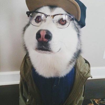 coltentremblayy's profile picture. 