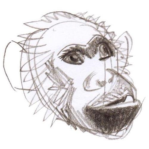 John Atkinsonさんのプロフィール画像