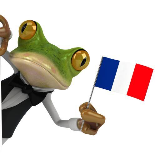 The system that gets you speaking french faster! Sign up today!