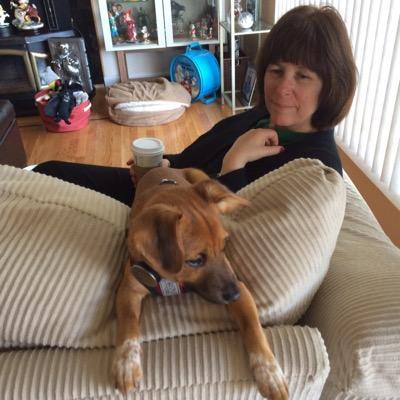 lm31356's profile picture. 