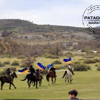 Datos Puq (@picadaspuq) 's Twitter Profile