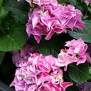 Tabitha Zaun - @zaun_tabitha - Twitter