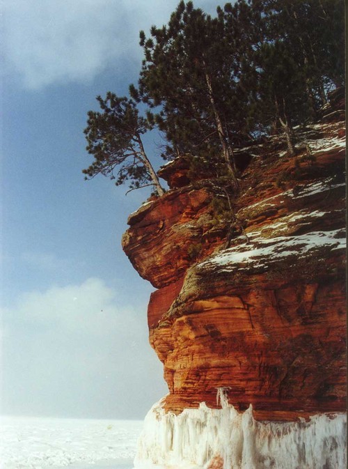 BayfieldChamber's profile picture. 