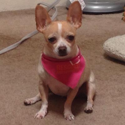 anh427's profile picture. Life is fleeting.