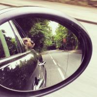 Wrexham Marc (@wrexhammarc) 's Twitter Profile