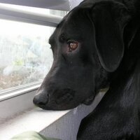 Sara Edmonds (@saraedmonds) 's Twitter Profile