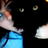 mrginggong's profile image
