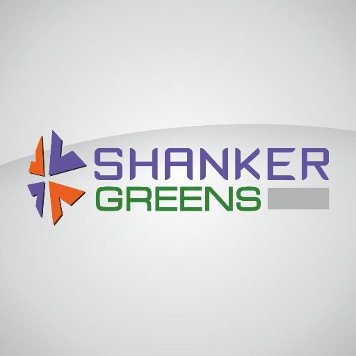 Real Estate Developer