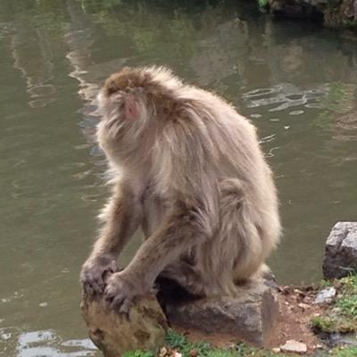 John_Eddie's profile picture. 