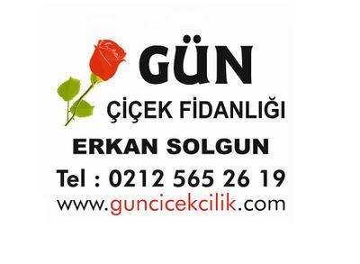 guncicekcilik Profile Picture