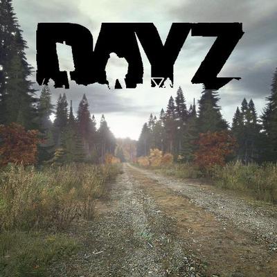 DAY Z Official 3PP : r/dayz