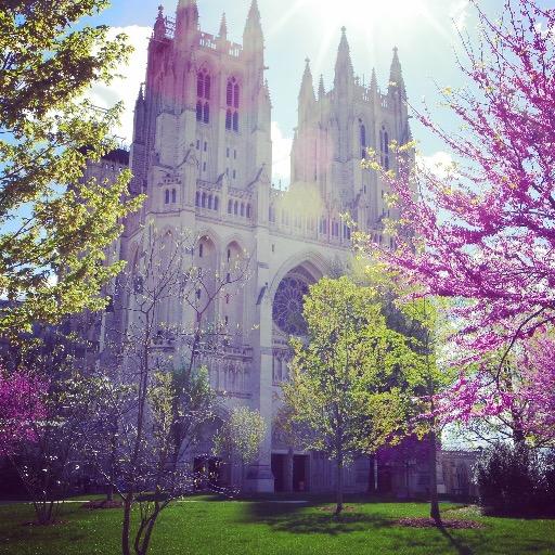 Stewards to the gardens and grounds of the Washington National Cathedral.  Sponsors of Flower Mart every May since 1939!