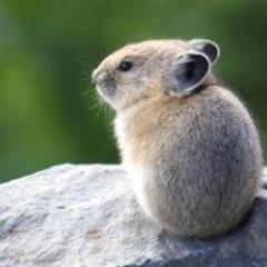 JoanECrowe's profile picture. Living and let-living.